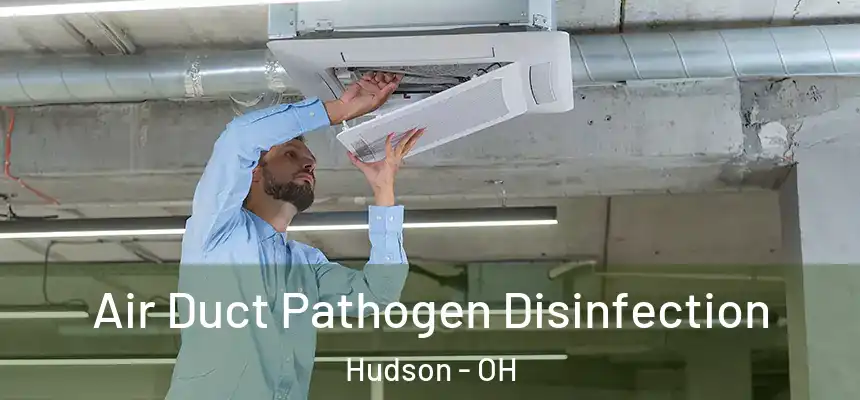Air Duct Pathogen Disinfection Hudson - OH