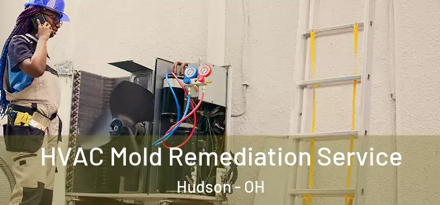  HVAC Mold Remediation Service Hudson - OH