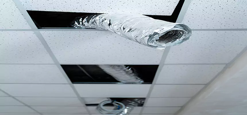 Our Air Duct Pet Hair Removal Services in Hudson, OH