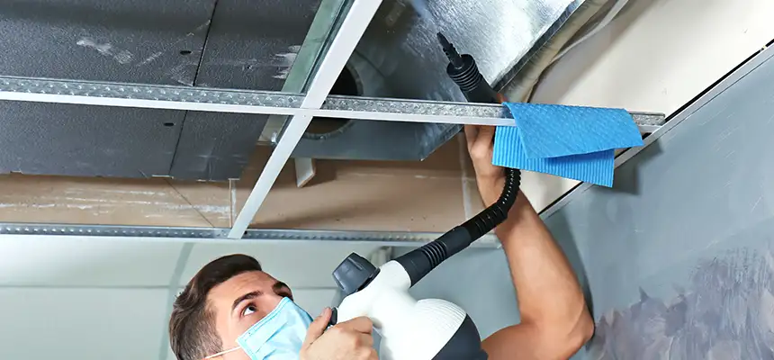 Our Air Duct Rodent Removal Services in Hudson, OH
