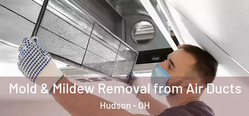 Mold & Mildew Removal from Air Ducts Hudson - OH