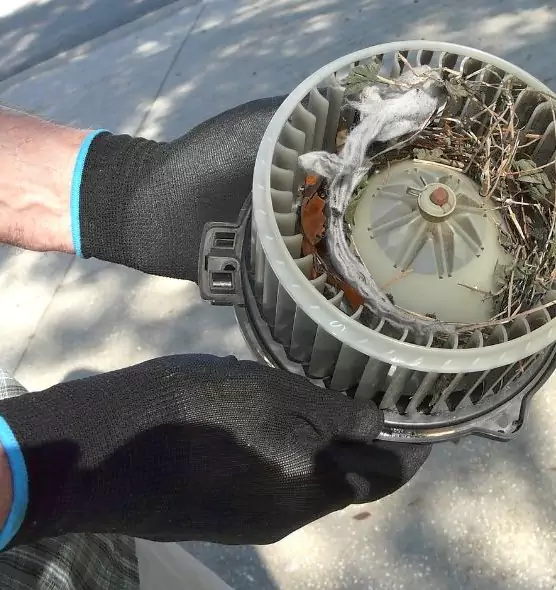 About Air Duct Rat Removal in Hudson, OH